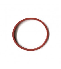 Sealing ring 469829